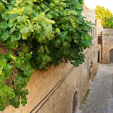 Daire Ottoman's Manor Rhodes City